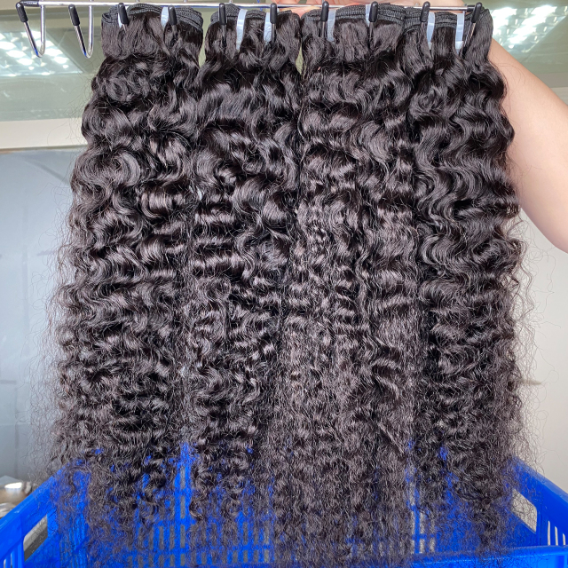 Donors Unprocessed Indian Curly Raw Hair with 4x4 HD Lace Closure