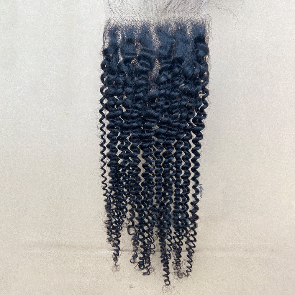 Donors Mink Hair Curly 5x5 HD Lace Closure