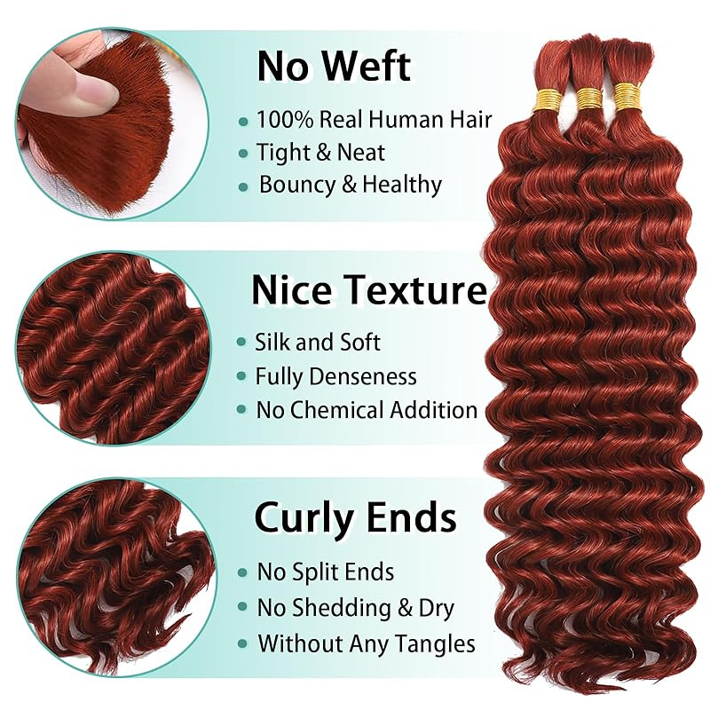 Donorshair Human Braiding hair Ombre #350 100gram, Boho Braids Human Hair, Deep Wave Bulk Human Hair for Micro Braiding No Weft,Curly Knotless/Goddess/Bohemian/Gypsy