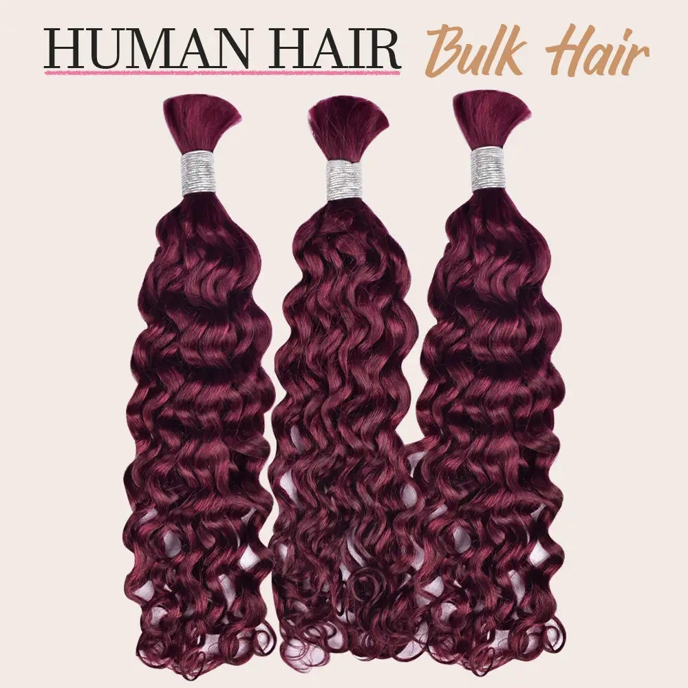 Colour #99J ltalian Curly Bulk Hair 100% Human Hair  No Weft Bulk Hair for Human Hair DonorsHair