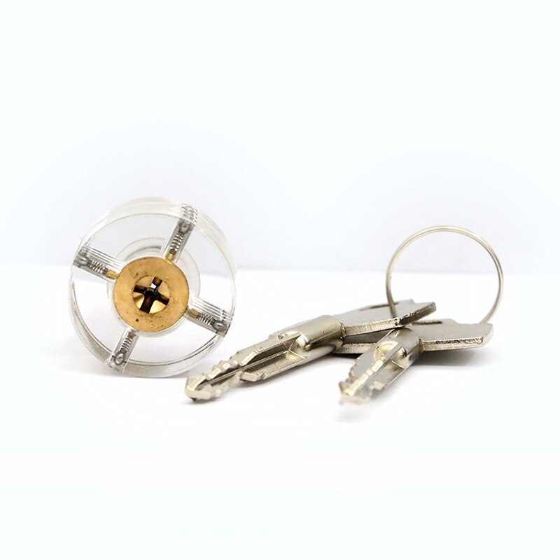Transparent Cross Lock Pick Visable Padlock With Two Keys for Locksmith Practice Training Skill Lock Picks Tools