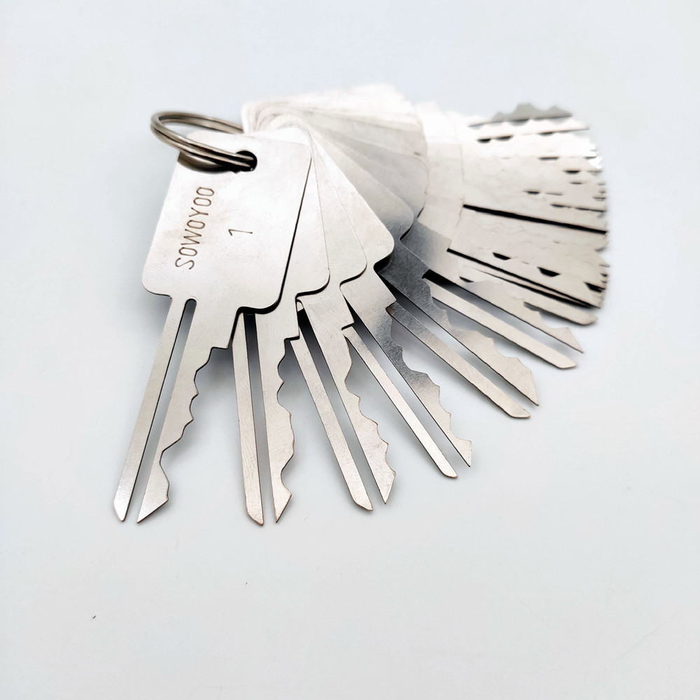 48 in 1 Lock Pick Set Locksmith Tools Lock Pick Keys Set for Bull Head Lock S Groove Lock One Word Locks