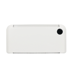 Convector heater