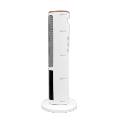 PTC heater