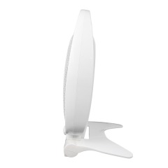 Quartz tube heater