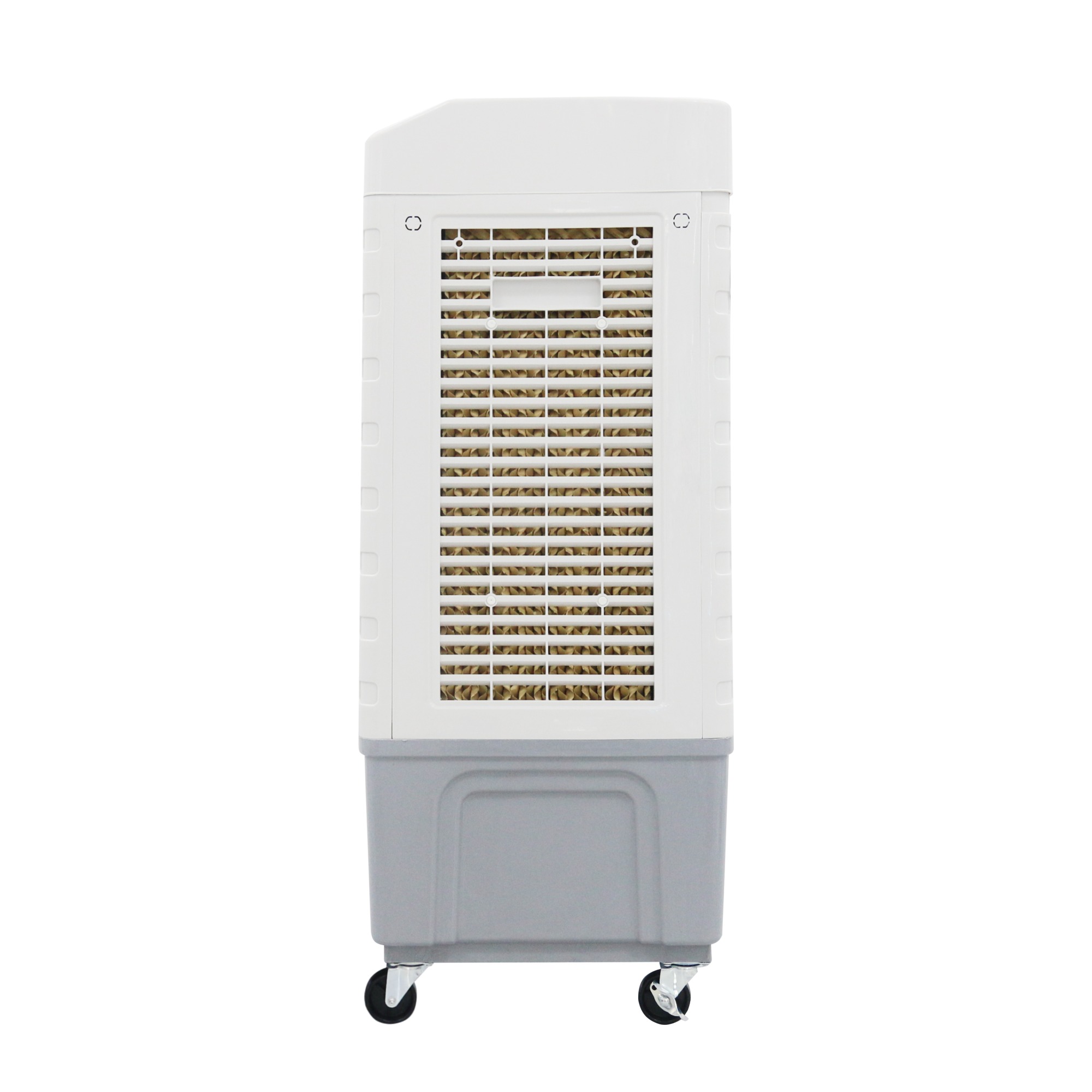 Industrial air cooler