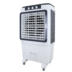 Industrial air cooler