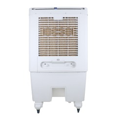 Industrial air cooler