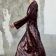 Sequin embellished dress