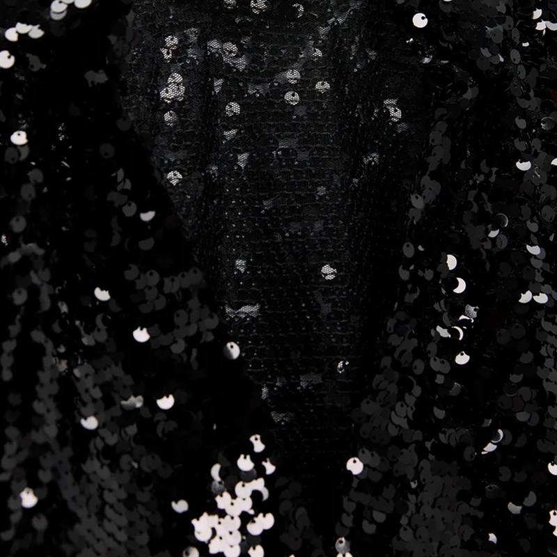 Sequined Blouse