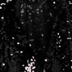 Sequined Blouse
