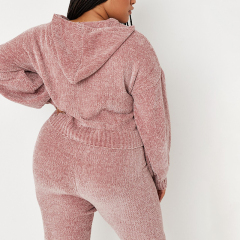 Plus size rose cropped hoodie and pants