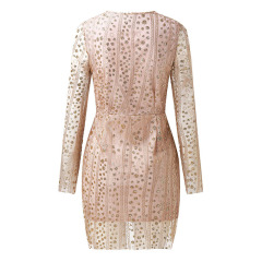 Deep V Sequin Dress