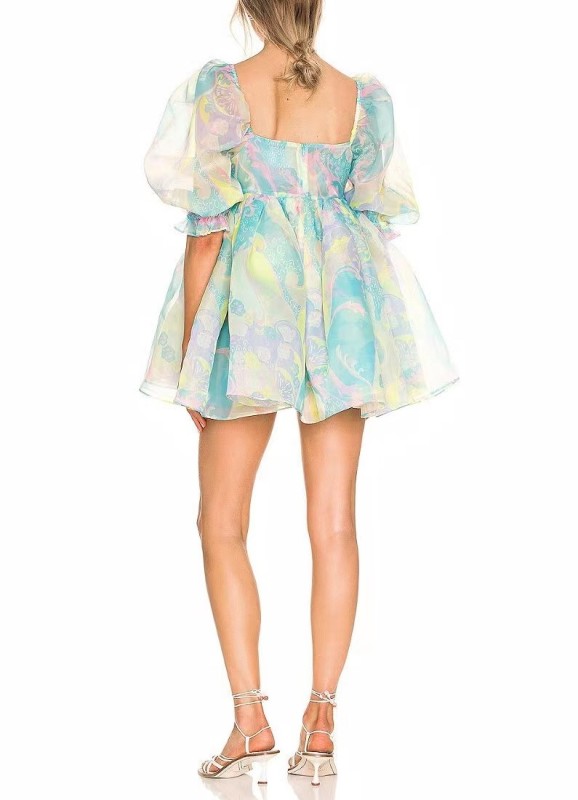 Floral Puffy Skirt Mesh Dress