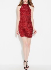 Sleeveless Sequin Dress