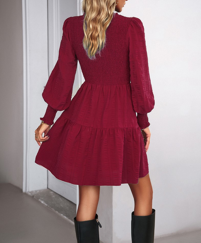 Solid Color Long Sleeved Dress