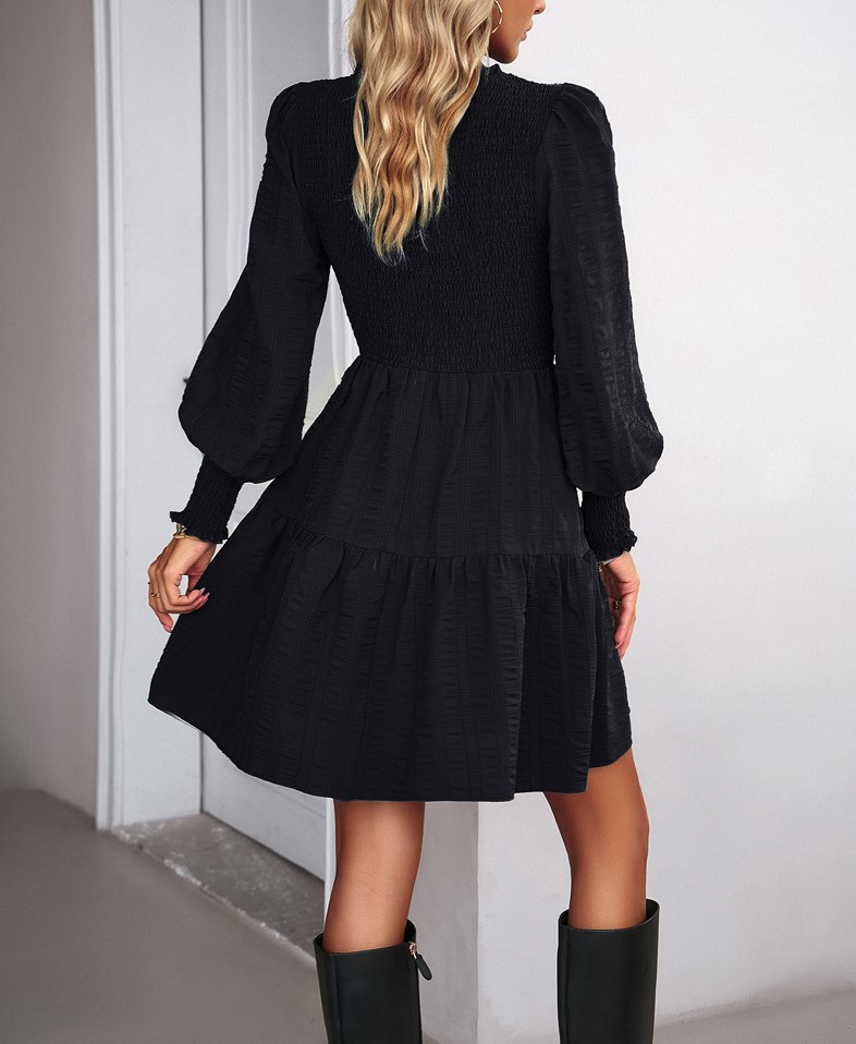 Solid Color Long Sleeved Dress