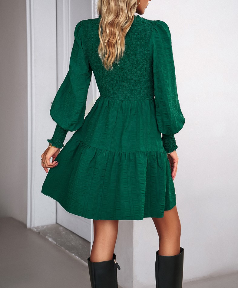 Solid Color Long Sleeved Dress