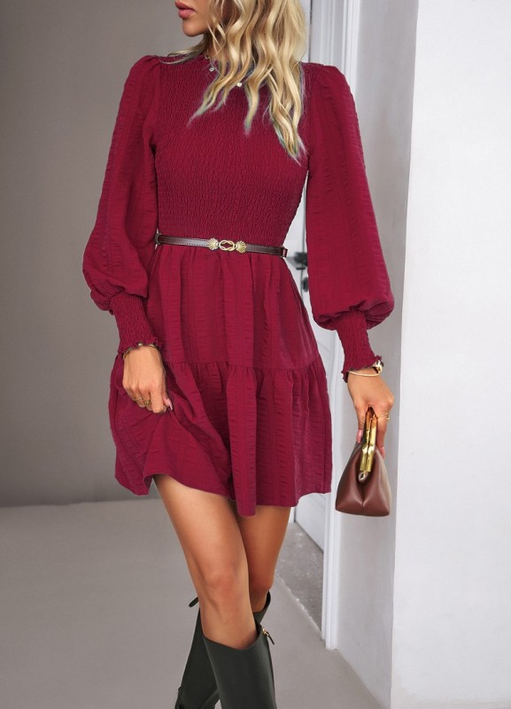 Solid Color Long Sleeved Dress