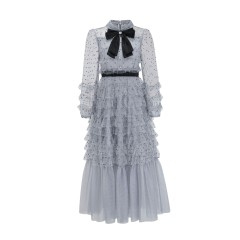 Embroidered Polka Dot Mesh Dress