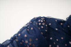 Mesh skirt with star pattern dress