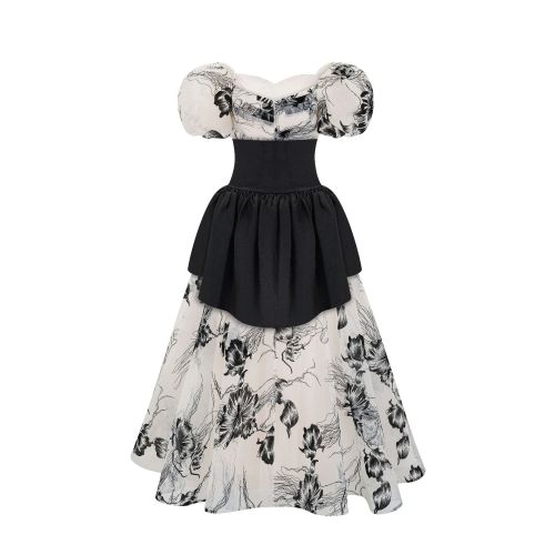 Ink painting bubble sleeve dress