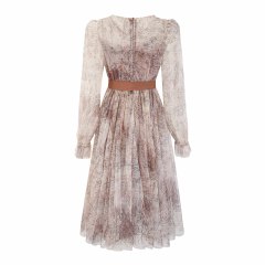 Elegant Mesh Ribbon Dress