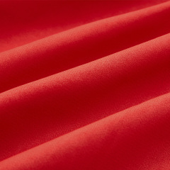 Red mesh drawstring slit skirt
