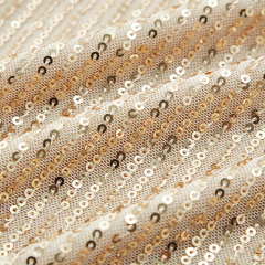 Commuter round neck sequined long sleeve top