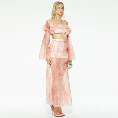 Gentle one-shoulder mesh tube top/skirt suit