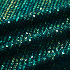 OEM Commuting sequined long-sleeved top