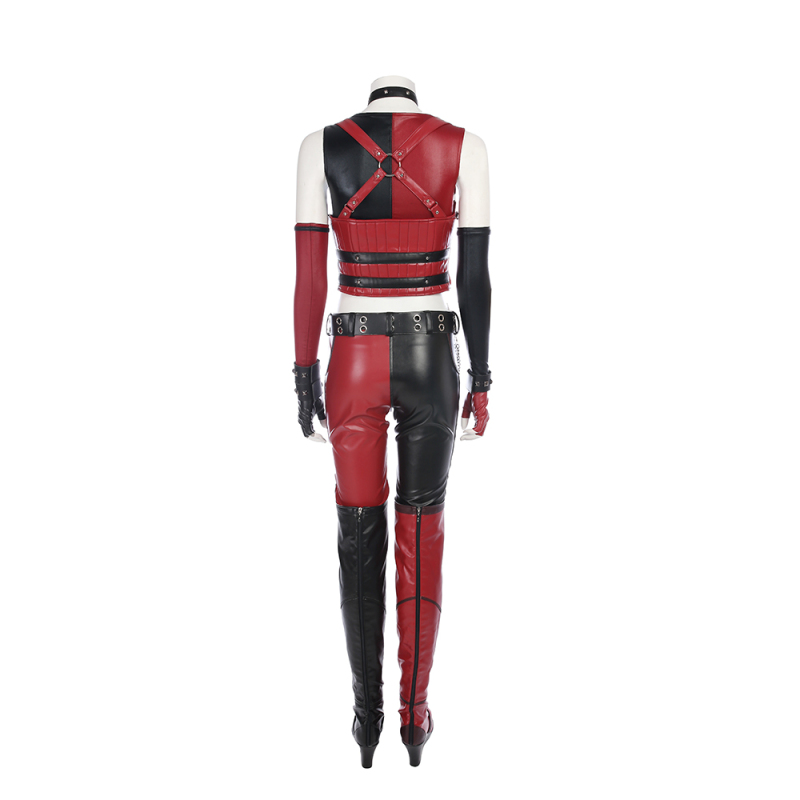 Batman: Arkham City Harley Quinn Cosplay Costume