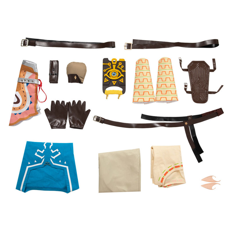 The Legend of Zelda Breath of the Wild Link Cosplay Costume