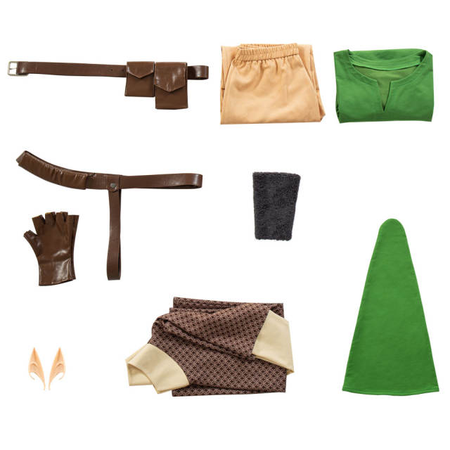 The Legend of Zelda: Skyward Sword Link Cosplay Costume