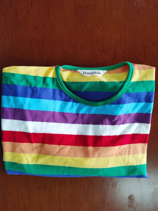 HanaHola Women Men Rainbow T-Shirt Stripes Summer Tee Short Sleeve Crew Neck Top Costume