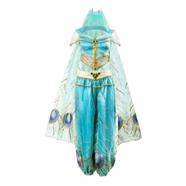 Aladdin Princess Jasmine Cosplay Costume