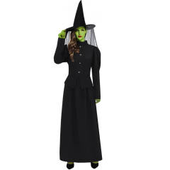 The Wizard of Oz Wicked Witch of the West Halloween Cosplay Costume Hallowcos