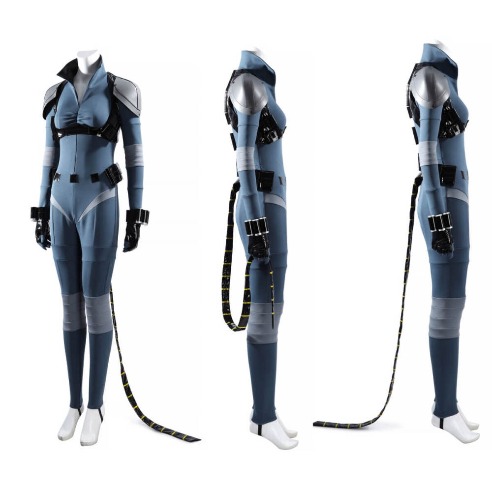 Absolute Selina Kyle Cosplay Costume