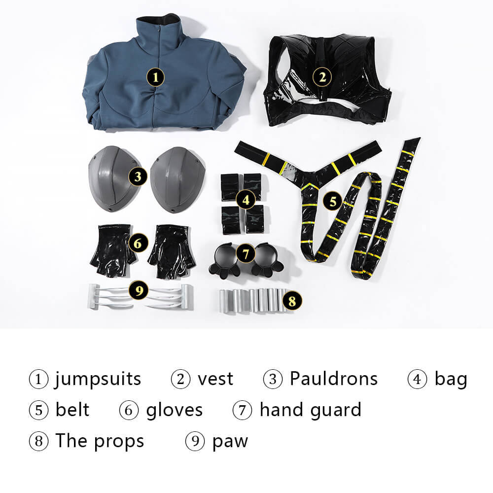 Absolute Selina Kyle Cosplay Costume