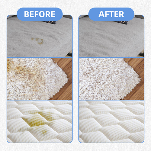 -Wholesale Only- Custom Label Sofa & Carpet Dry Cleaning Spray – 500ml