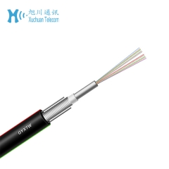 ASU Cable 12CORE SPAN 80m