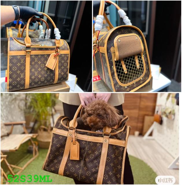 Bag for pet