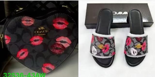 Purse and slippers (36-41)