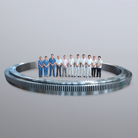 Large slewing bearing for offshore crane