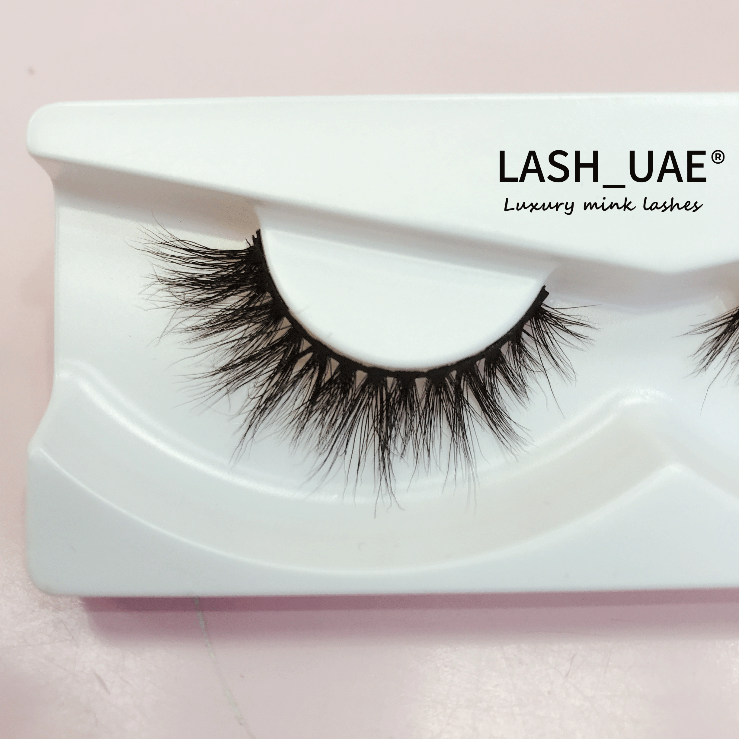 LASH_UAE E27