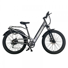 1908 500W 48V 10.4Ah/14Ah 35km/h Lithium Battery Electric Bike