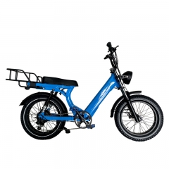 2205 350W-1000W 48V 13Ah/14Ah 35km/h Lithium Battery Electric Bike