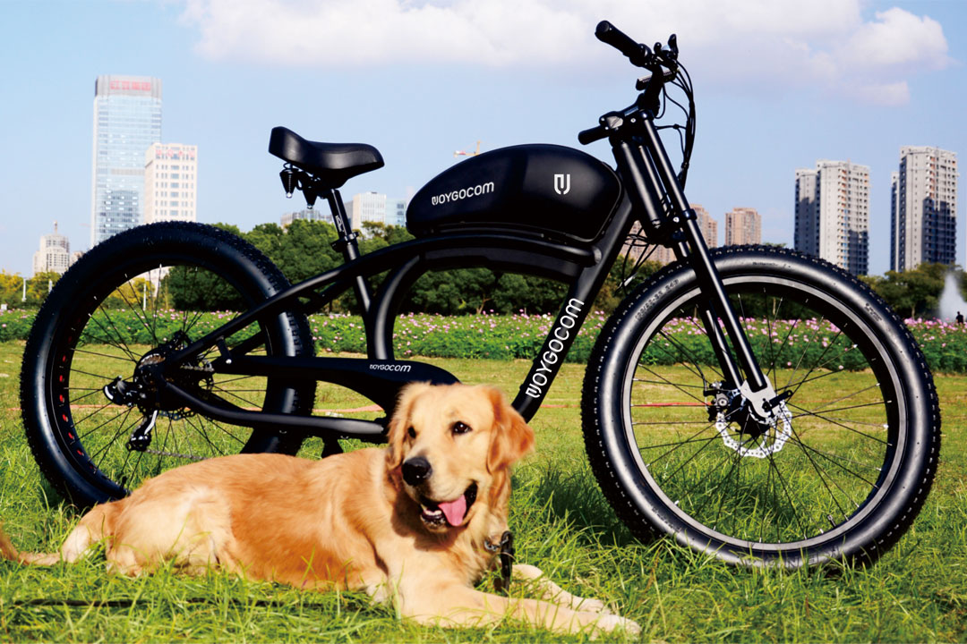 Electric Bikes: Paving the Way for Better Health