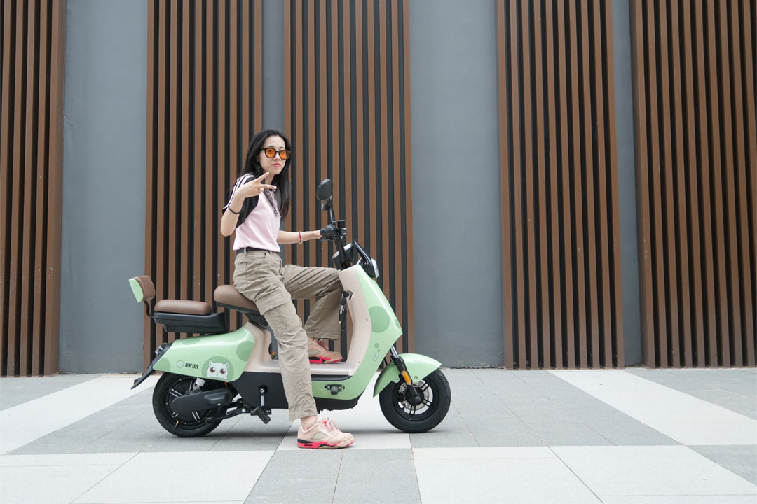 Exploring the Future of Electric Assist mopeds in China - Manufacturer's Factory Strength
