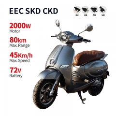 Electric Moped Totoro E 2000W 72V 26Ah 45km/h (EEC)